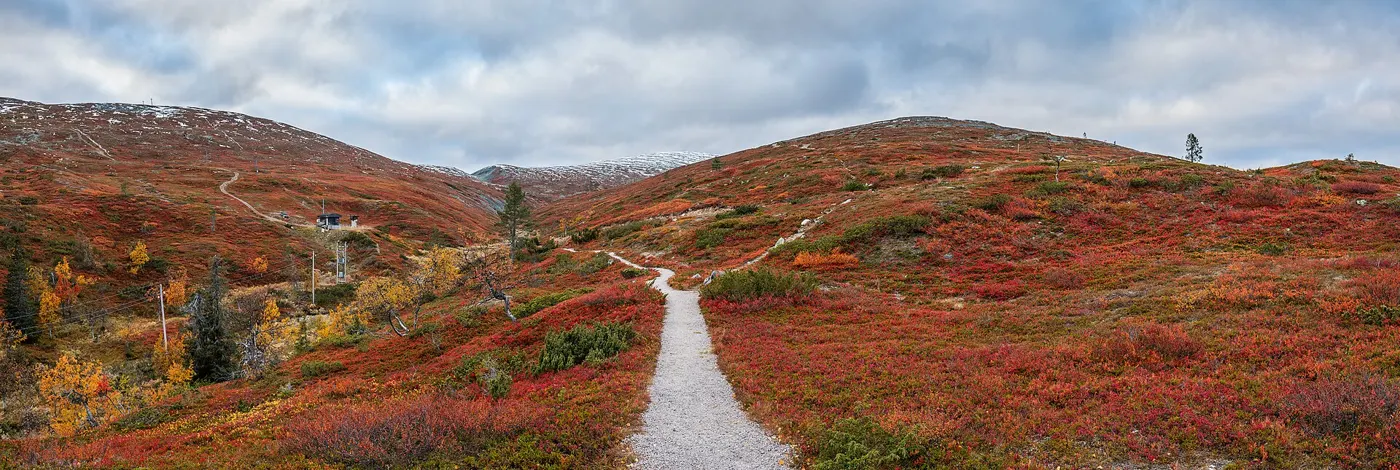 Lapland in Autumn: The Ruska Season